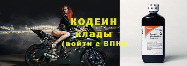 spice Гусь-Хрустальный