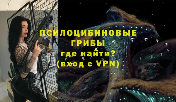 кокс Гусиноозёрск