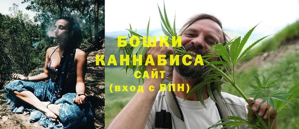 spice Гусь-Хрустальный