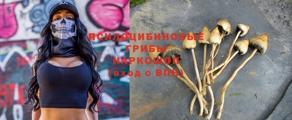 spice Гусь-Хрустальный