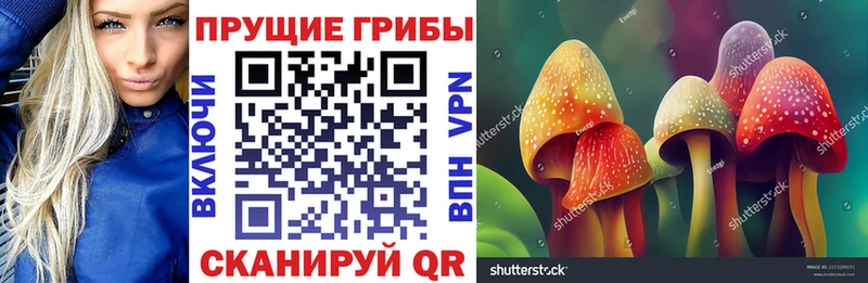 Купить  Кимры  Галлюциногенные грибы мицелий 